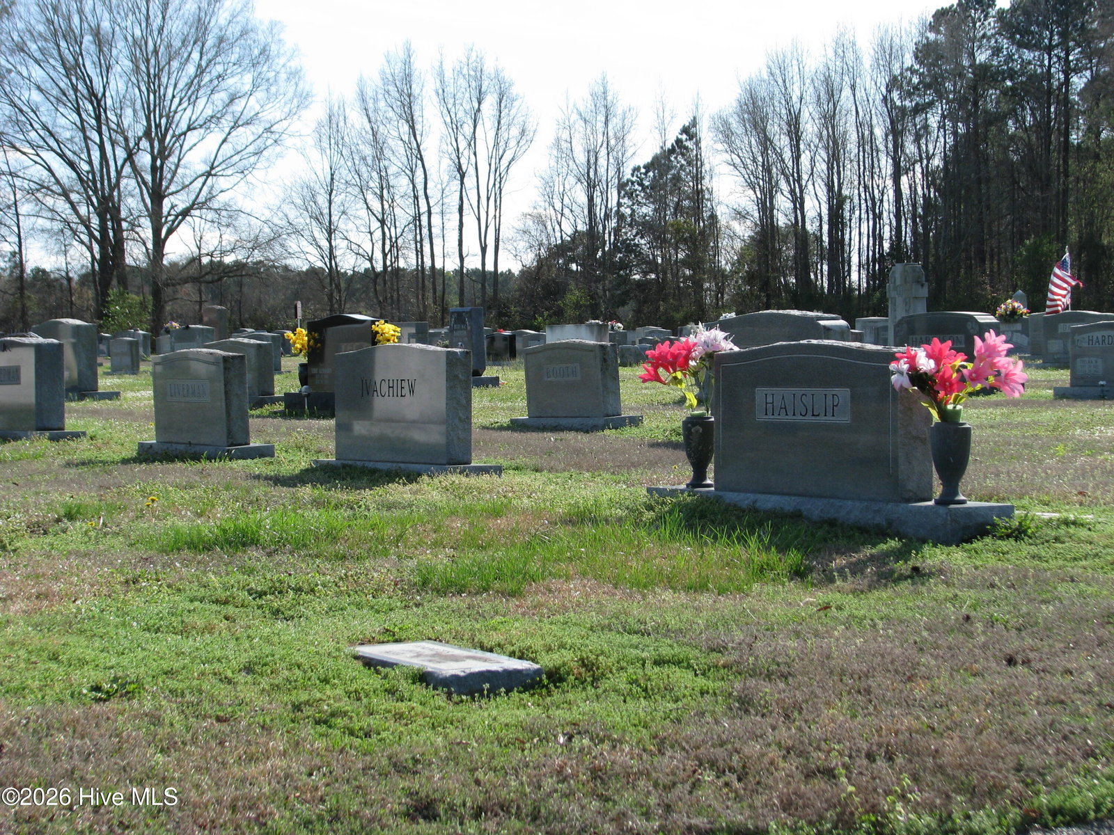 806 Nc Hwy 32 S, Plymouth, NC 27962 — photo 2