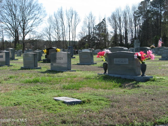 806 Nc Hwy 32 S, Plymouth, NC 27962 — photo 2