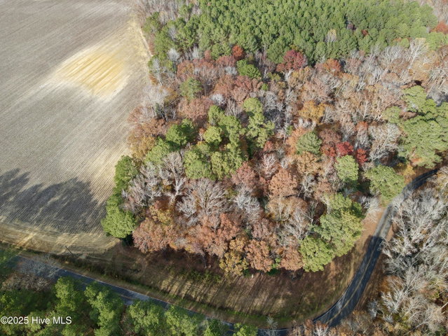 0 Williams Road, Williamston, NC 27892 — photo 2
