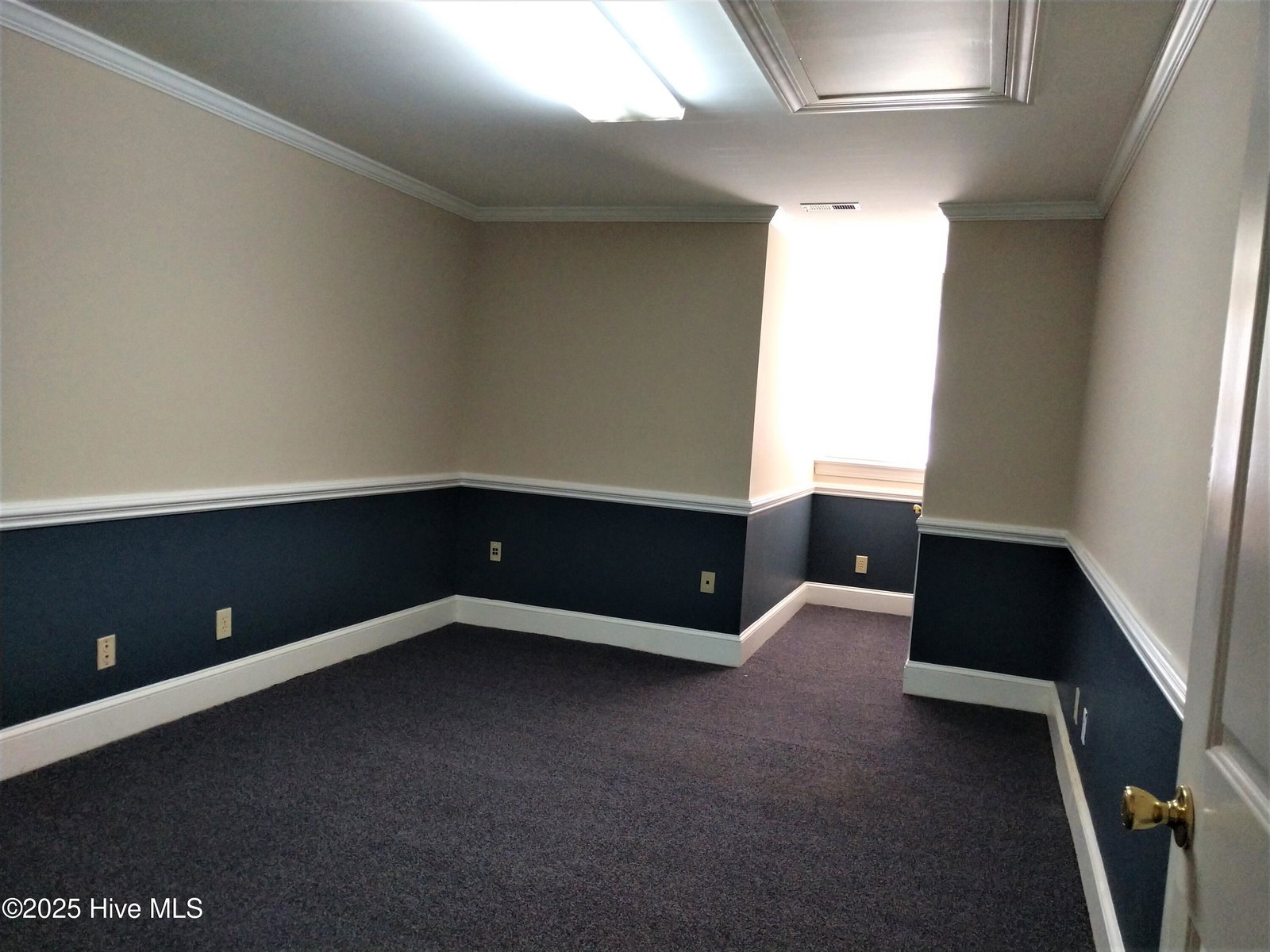 823 Evans Street C, Greenville, NC 27834 — photo 5