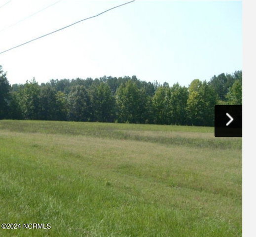 0 Nicodemus Mile Road, Rocky Mount, NC 27804 — photo 2