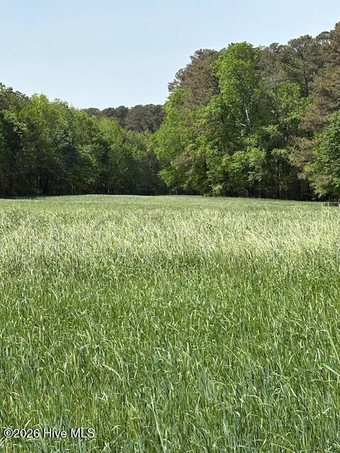 000 Leon Road, Nashville, NC 27856 — photo 2