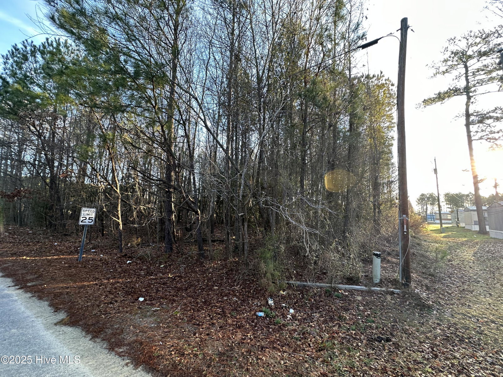 Tbd Pine Street, Conway, NC 27820 — photo 4