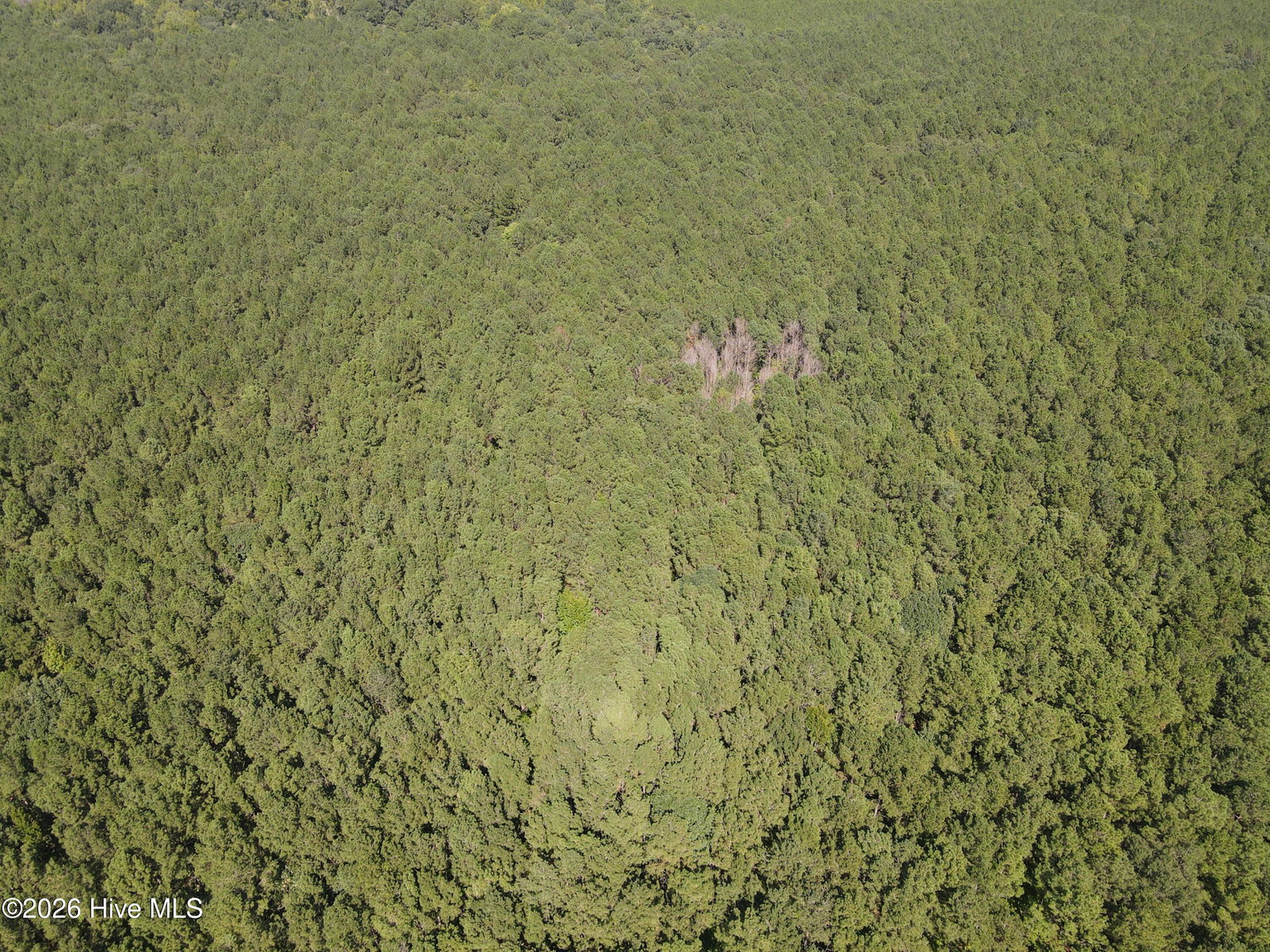 Tbd Bryantown Road, Jackson, NC 27845 — photo 4