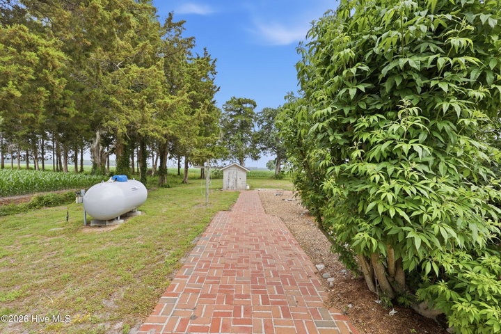 725 Griffin Swamp Road, Elizabeth City, NC 27909 — photo 72