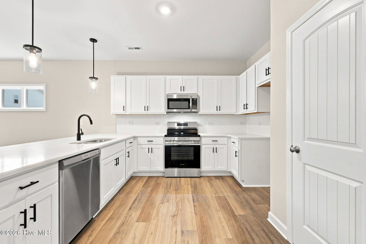 987 Rialto Lane, Ayden, NC 28513 — photo 14