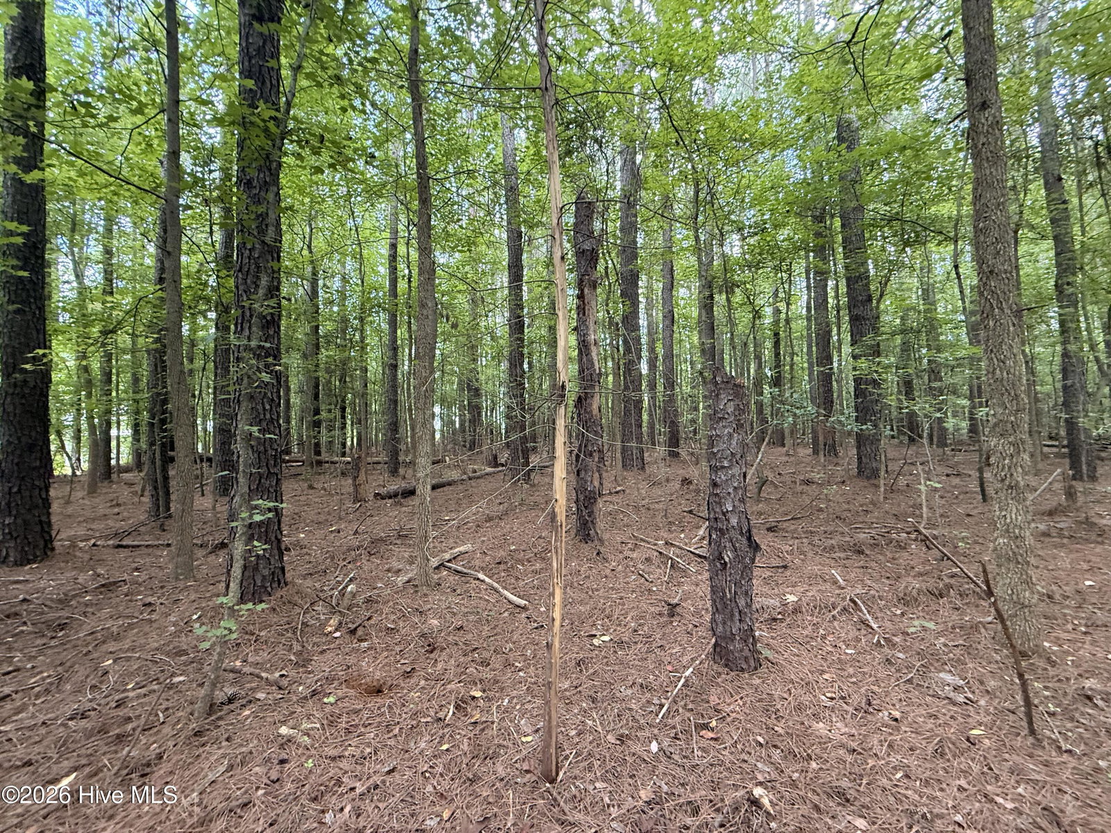 Lot 2b Holland Road, Greenville, NC 27834 — photo 4