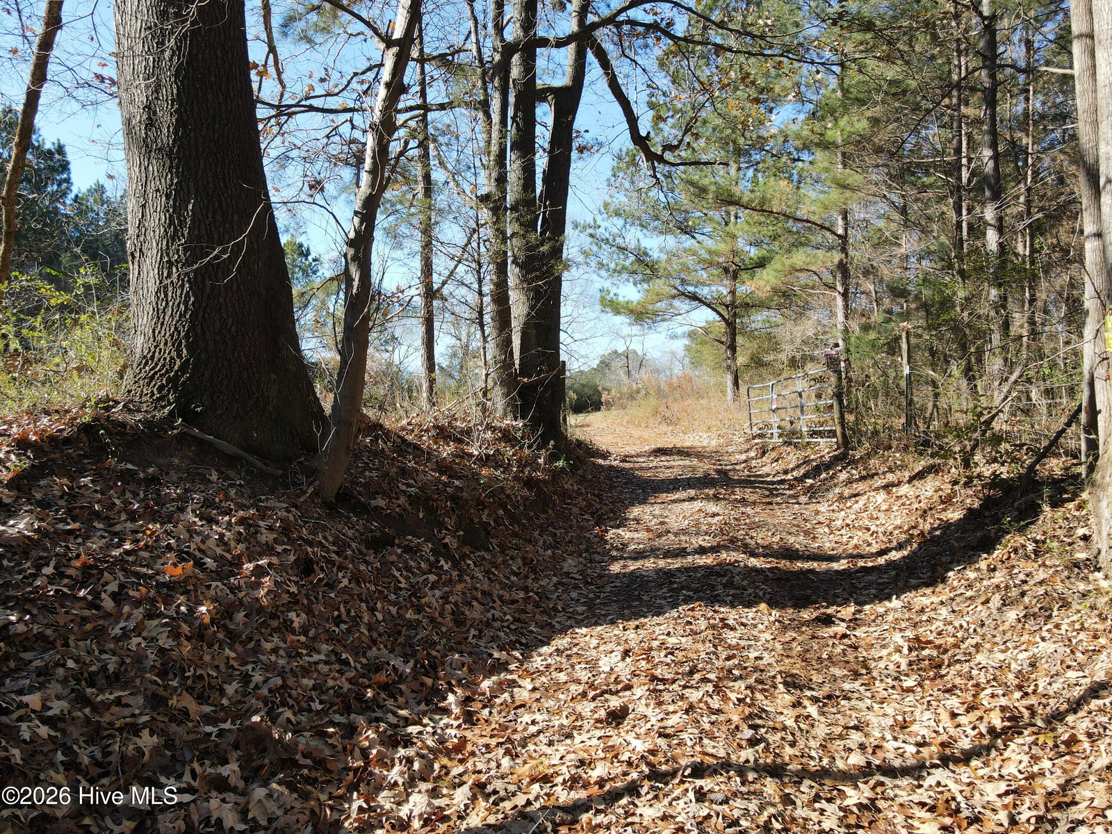 00 Sykes Road, Nashville, NC 27856 — photo 3