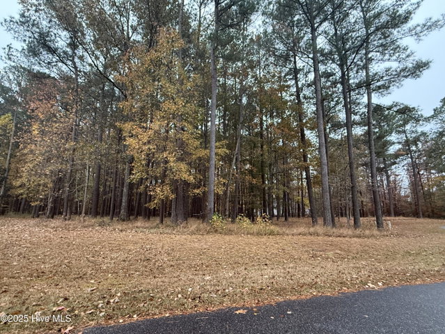 13 Mattaponi Drive, Hertford, NC 27944