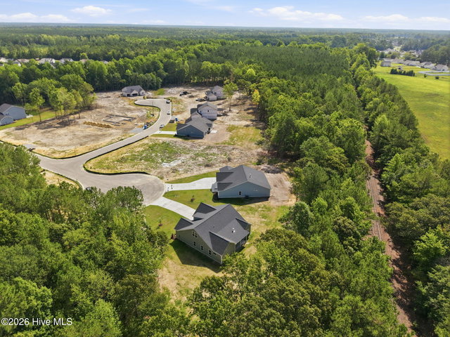 3002 Tucker Hill Drive, Grimesland, NC 27837 — photo 38