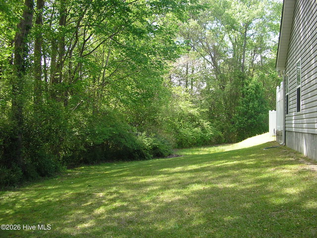 3128 Ruth Court, Greenville, NC 27834 — photo 29