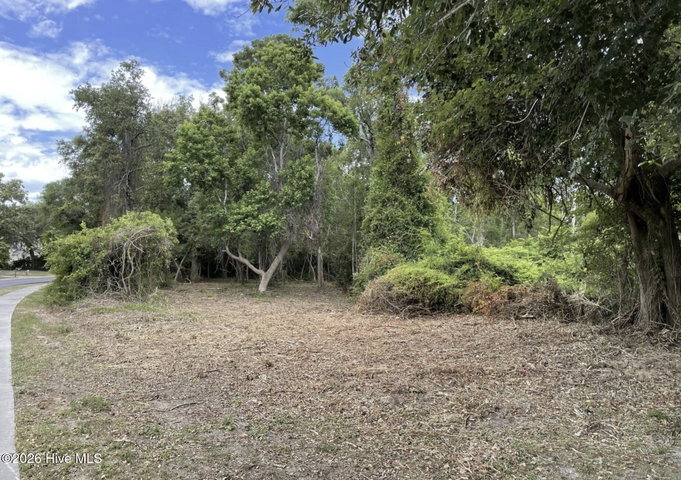 L-22 22 Womble Street image