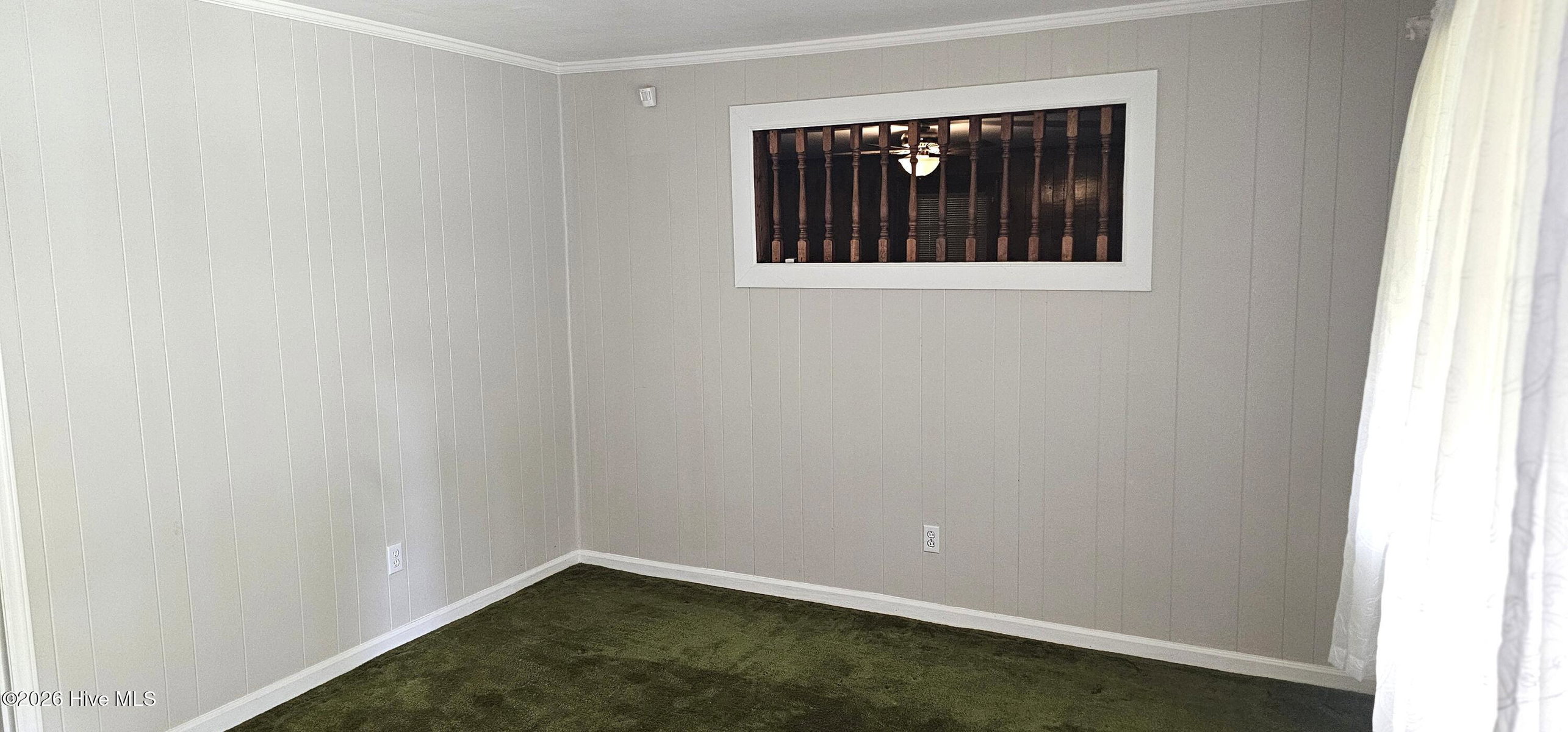 308 Charles Street, Rich Square, NC 27869 — photo 5