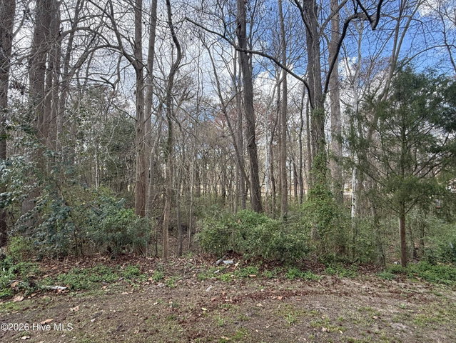 4160 Brook Creek Lane Unit A, Greenville, NC 27858 — photo 19