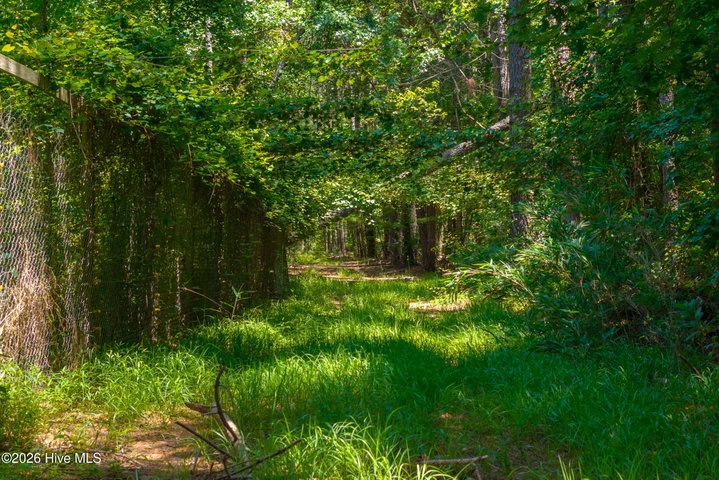 674 State Road 1415, Greenville, NC 27834 — photo 9