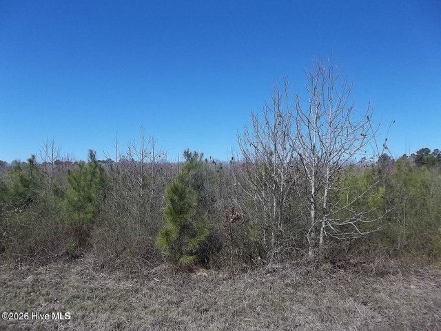 Tbd 2 Boat Ramp Road, New Hope, NC 27944 — photo 2