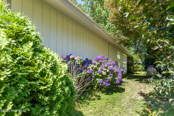 311 Country Club Drive, Edenton, NC 27932 — photo 53