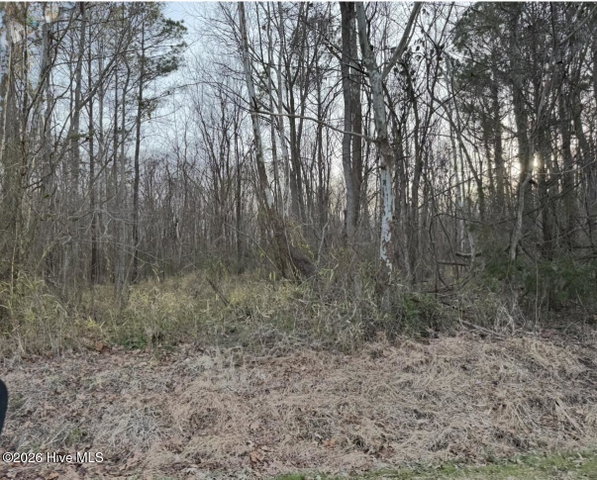 Lot 14 14 Beasley Road, Roper, NC 27970 — photo 3