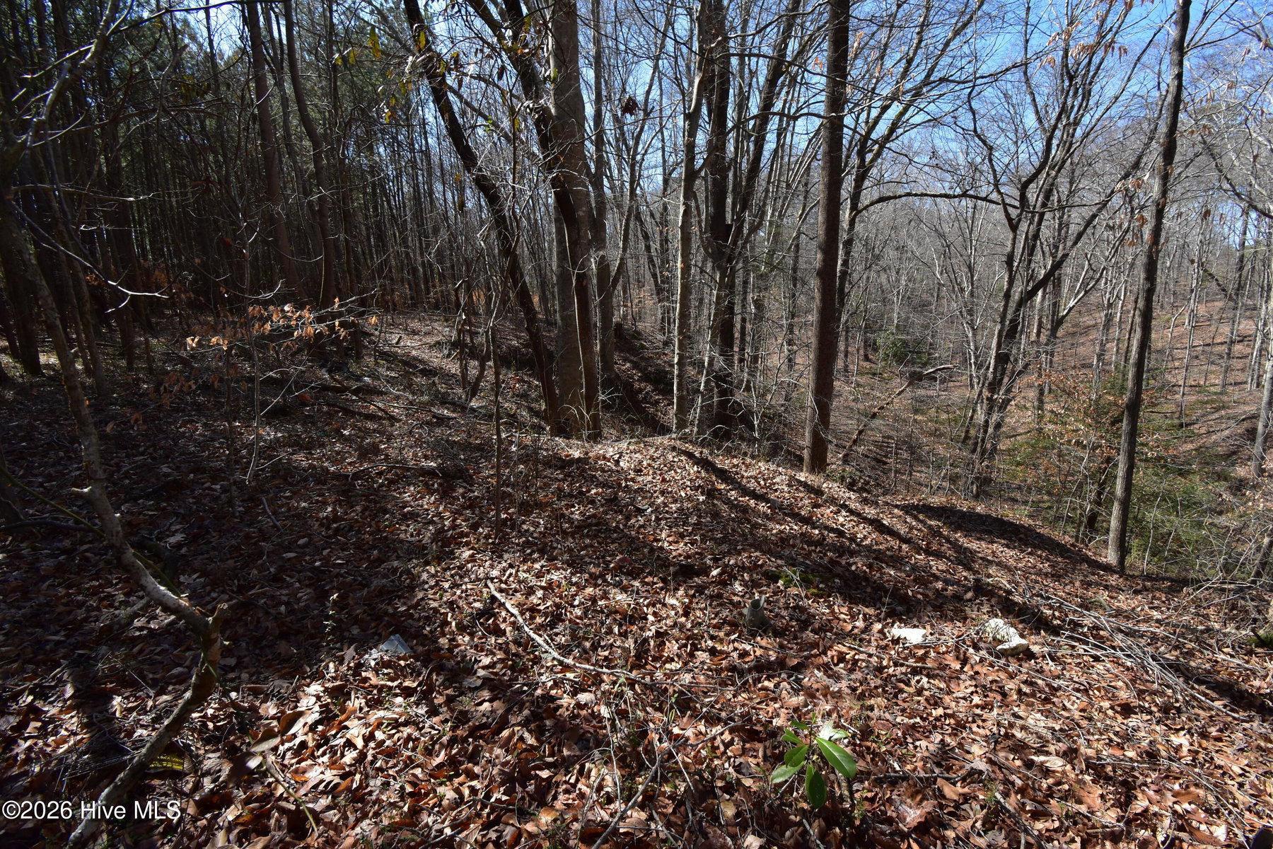 4 Dobbs Street, Halifax, NC 27839 — photo 5