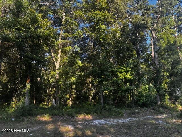 2425 Tract 1 Sunset Harbor Road SE image