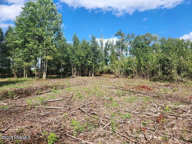 6943 1 Us 264 E, Greenville, NC 27834 — photo 13