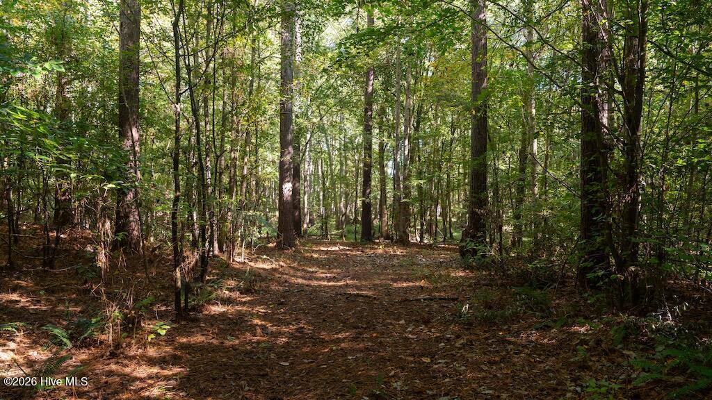 0 Spring Hill Road, Scotland Neck, NC 27874 — photo 4
