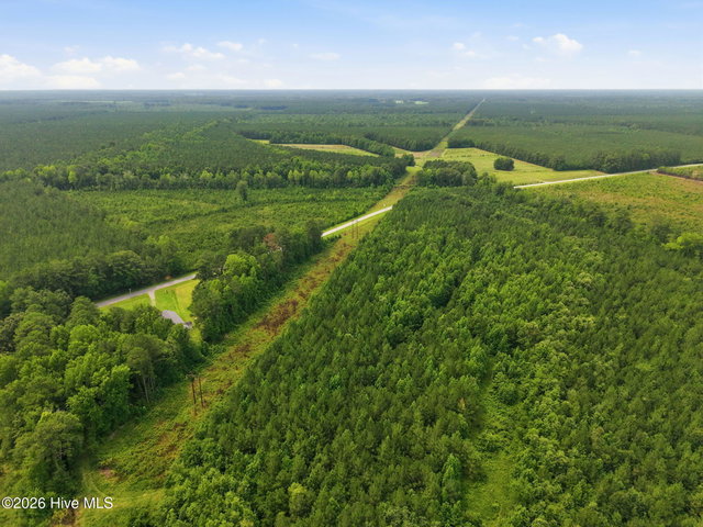 00 Gaskins Road, Grimesland, NC 27837 — photo 14