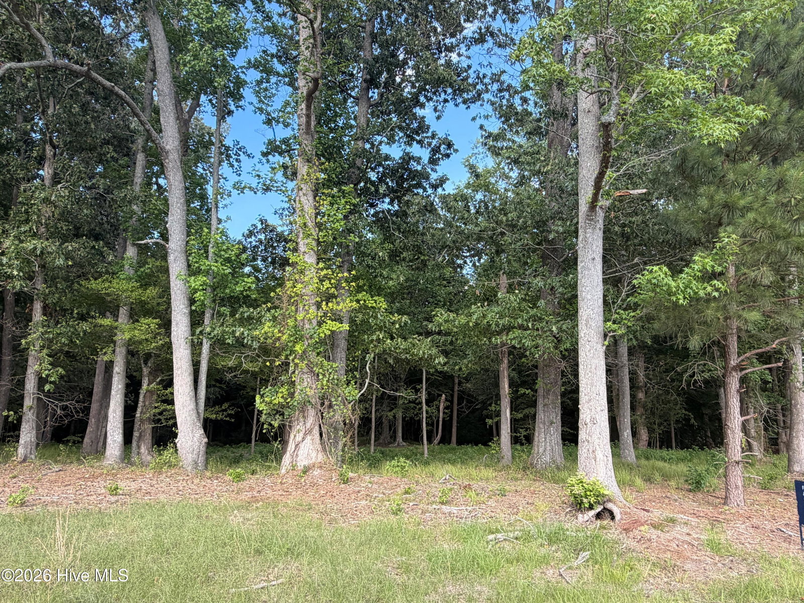 506 36/37 Batchelor Bay Drive, Windsor, NC 27983 — photo 4