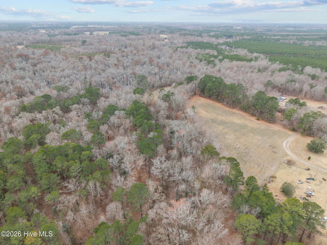 679 V A Merritt Lane, Grimesland, NC 27837 — photo 16