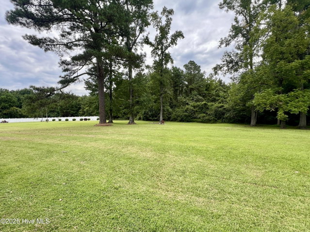 400 W Barnhill Street, Everetts, NC 27825 — photo 5