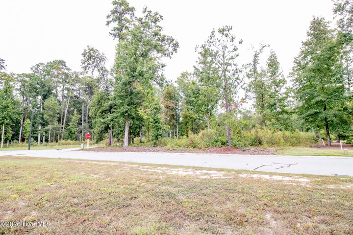 115 Liverpool, Rocky Mount, NC 27804 — photo 3
