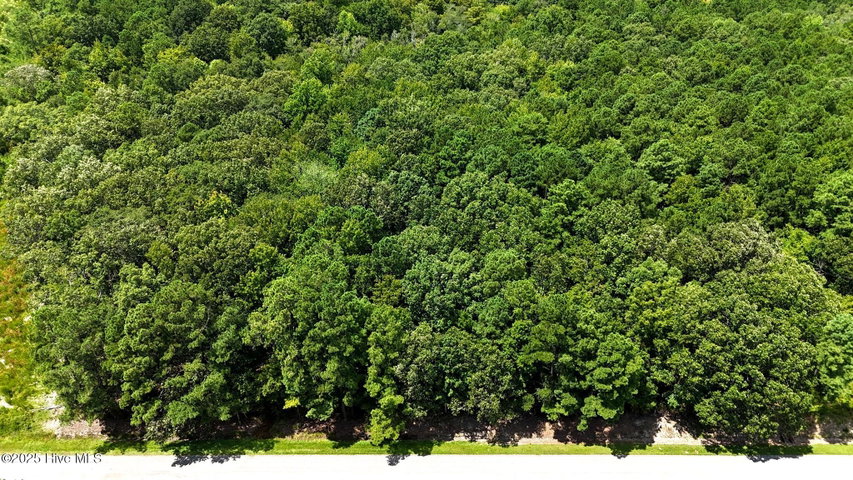 Tbd Lot 5 Boat Ramp Road, New Hope, NC 27944
