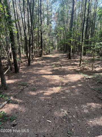 2364 Nc 102 E, Ayden, NC 28513 — photo 21