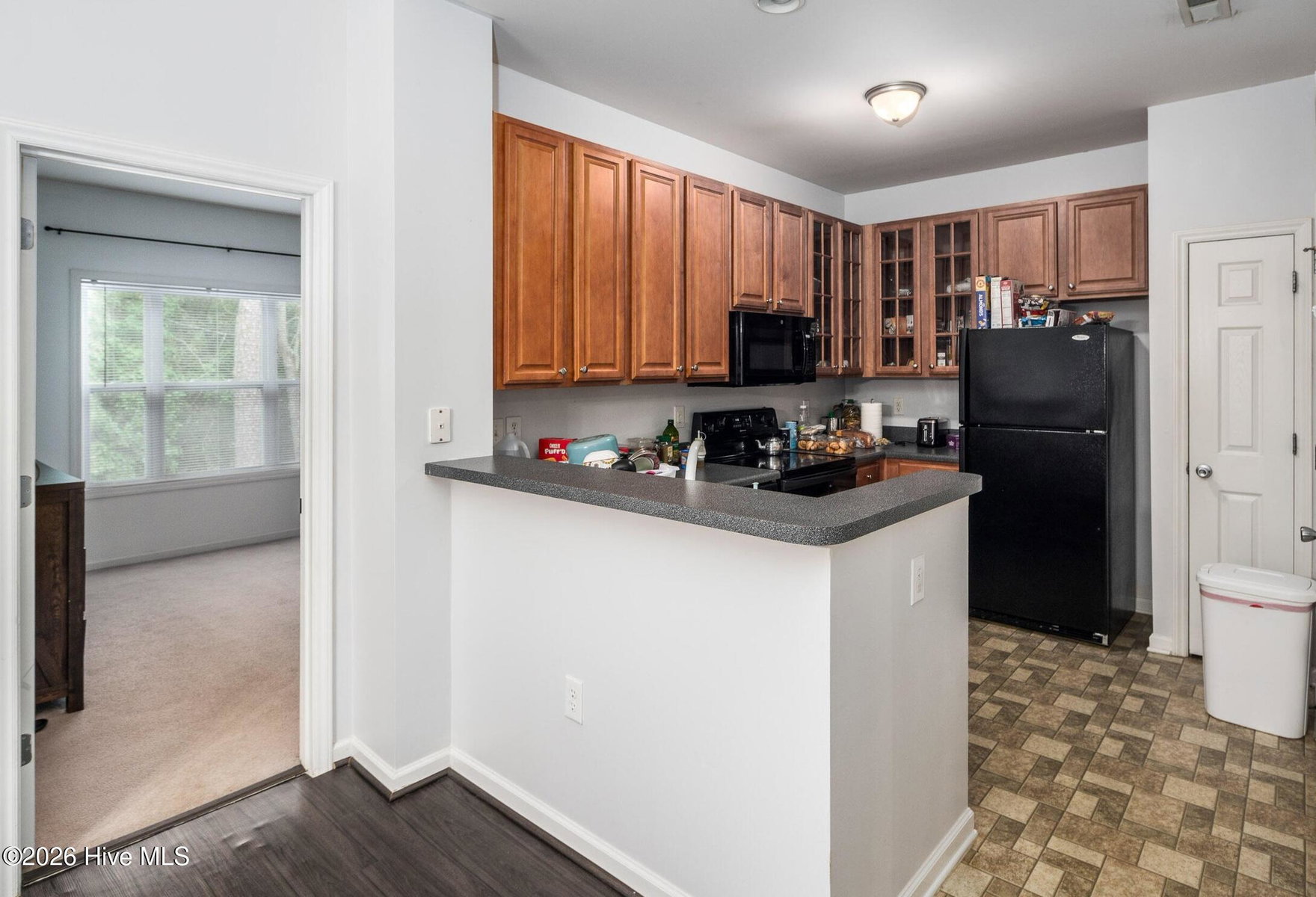 1131 Turtle Creek Road G, Greenville, NC 27858 — photo 5