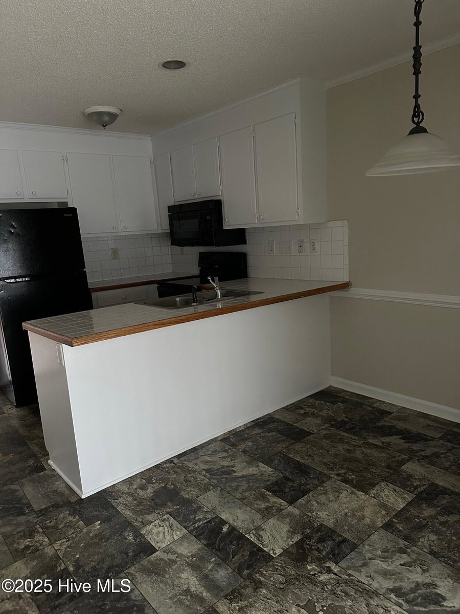 3827 Sterling Pointe Drive Tt1, Winterville, NC 28590 — photo 5