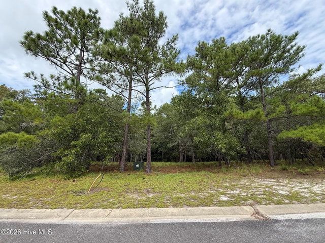595 626 Ella Circle SE image