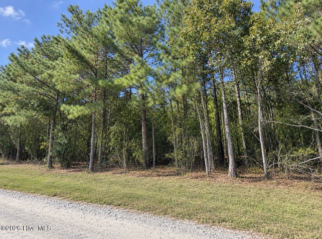 0 5 Default Street Lot 5, Scranton, NC 27875