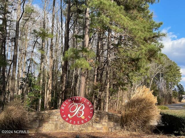 2599 Belmont Lake Drive, Rocky Mount, NC 27804 — photo 2