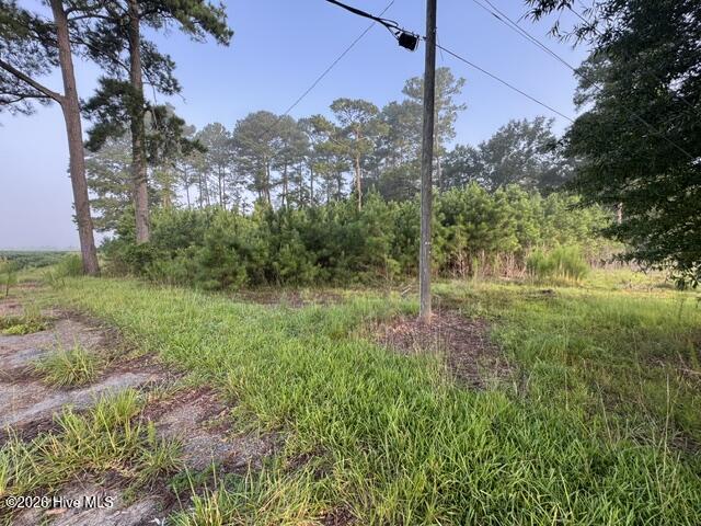 6076 Marvin Taylor Road, Grifton, NC 28530 — photo 5