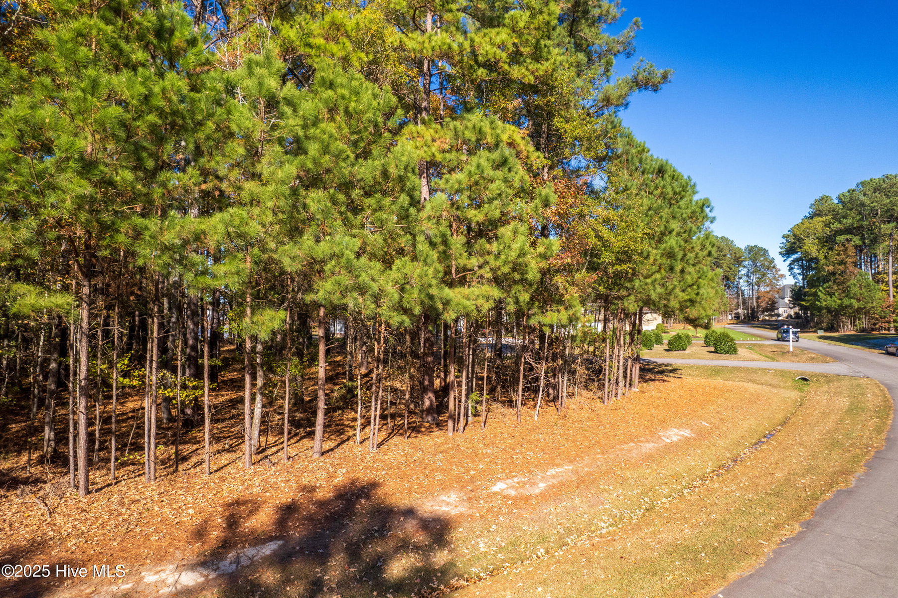 65 JJ65 Standard Bred Way, Hertford, NC 27944 — photo 3