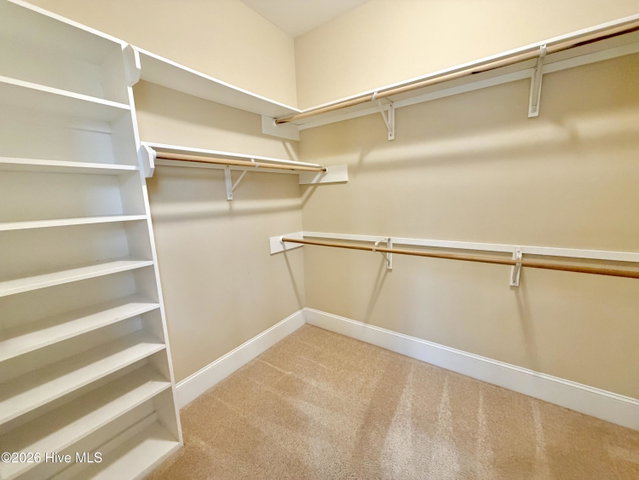 3047 Poplar Grove Drive, Greenville, NC 27858 — photo 58