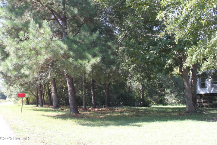 415 Cannons Ferry Road, Tyner, NC 27980 — photo 6