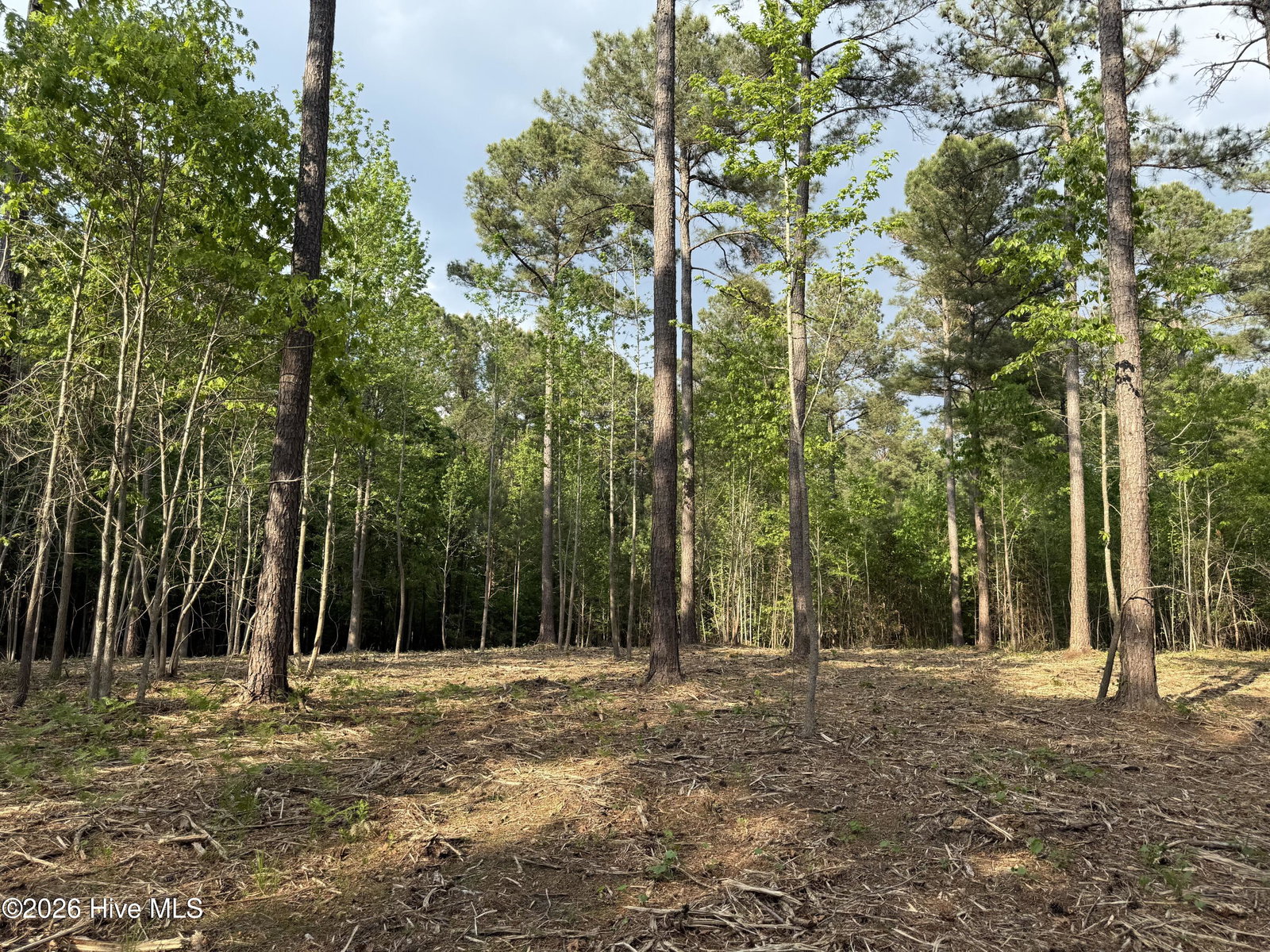 000 Tbd Lancaster Store Road Road, Spring Hope, NC 27882 — photo 4