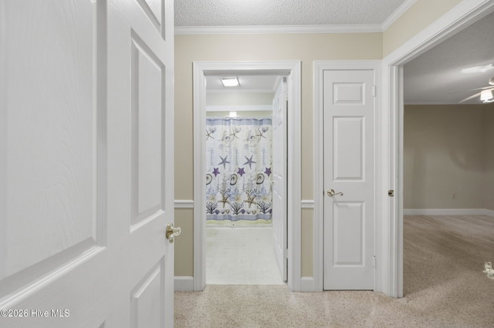 1706 Darian Drive, Elizabeth City, NC 27909 — photo 28