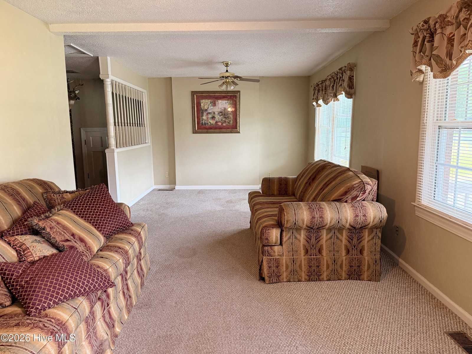 236 Brinkleyville Road, Ahoskie, NC 27910 — photo 4