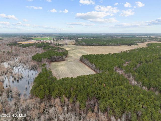 0 Whichard Cherry Ln Rd Road, Stokes, NC 27884 — photo 7