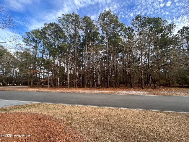 264 Red Fox Run Drive image