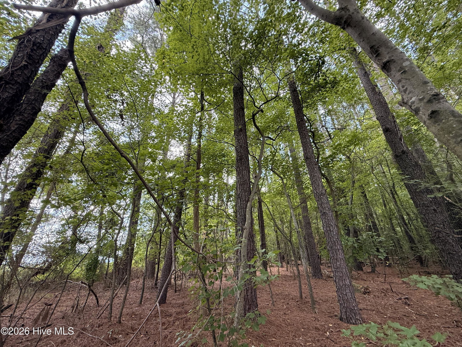 Lot 2b Holland Road, Greenville, NC 27834 — photo 3