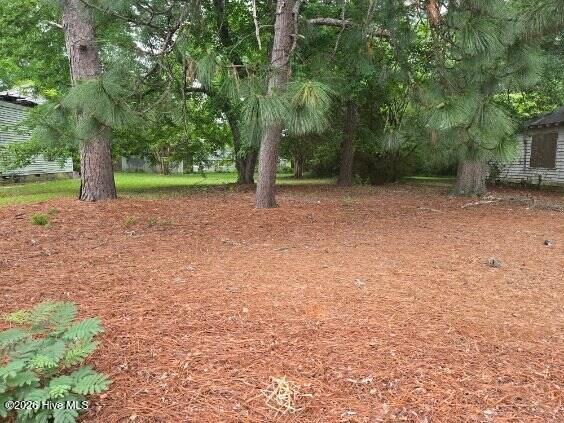 1115 Hargrove Street, Rocky Mount, NC 27801 — main photo