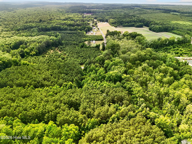 Tbd Pea Ridge Road, Roper, NC 27970 — photo 12